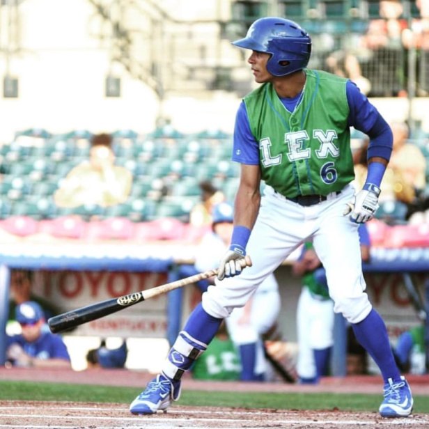 Michael Gigliotti Lexington 2017 at bat